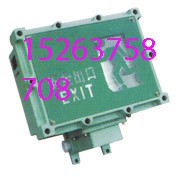 供应ZXBYY-920系列防爆标志灯(IIB级)